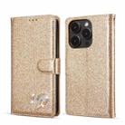 For iPhone 14 Pro Max Glitter Powder Love Leather Phone Case(Gold) - 1