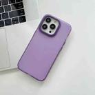 For iPhone 14 Pro Max PC Frosted Phone Case(Purple) - 1