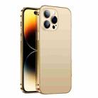 For iPhone 14 Pro Max 2 in 1 Metal Frame Frosted Phone Case with Lens Film(Gold) - 1