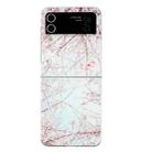 For Samsung Galaxy Z Flip 4 5G Foldable Colored Drawing PC Phone Case(Cherry Blossoms) - 1