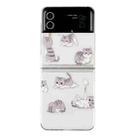 For Samsung Galaxy Z Flip 3 5G Foldable Colored Drawing PC Phone Case(Cats) - 1