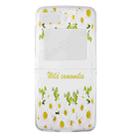 For Motorola Razr 2022 Foldable Colored Drawing PC Phone Case(Flowers) - 1