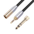 SB423M120-03 6.35mm + 3.5mm Male to Mini XLR 3pin Male Audio Cable, Length: 30cm - 1