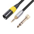 SB423K108-03 6.35mm + 3.5mm Male to XLR 3pin Male Audio Cable, Length: 30cm - 1