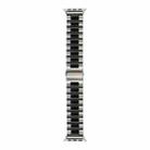 Strains Metal Watch Band For Apple Watch Ultra 49mm / Series 8&7 45mm / SE 2&6&SE&5&4 44mm / 3&2&1 42mm(Silver+Black) - 1