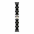 Strains Metal Watch Band For Apple Watch Series 8&7 41mm / SE 2&6&SE&5&4 40mm / 3&2&1 38mm(Silver+Black) - 1