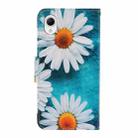 For Samsung Galaxy A23e Colored Drawing Pattern Leather Phone Case(Daisy) - 3