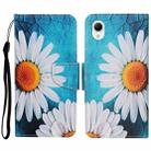 For Samsung Galaxy A23e Colored Drawing Pattern Leather Phone Case(Chrysanthemum) - 1