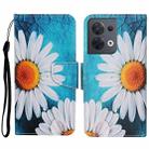 For OPPO Reno8 Colored Drawing Pattern Leather Phone Case(Chrysanthemum) - 1
