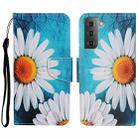 For Samsung Galaxy S23 5G Colored Drawing Pattern Leather Phone Case(Chrysanthemum) - 1