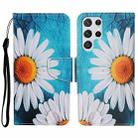 For Samsung Galaxy S23 Ultra 5G Colored Drawing Pattern Leather Phone Case(Chrysanthemum) - 1