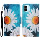 For Xiaomi Redmi A1 Colored Drawing Pattern Leather Phone Case(Chrysanthemum) - 1
