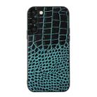 For Samsung Galaxy S23+ 5G Crocodile Texture Genuine Leather Phone Case(Cyan) - 1
