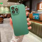 For iPhone 11 Pro Oily Feel PC Shockproof Protective Phone Case(Green) - 1