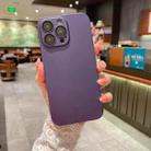 For iPhone 11 Pro Oily Feel PC Shockproof Protective Phone Case(Purple) - 1