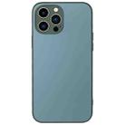 For iPhone 14 Pro Max AG Frosted Sweatproof Shockproof Phone Case(Green) - 1