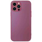 For iPhone 13 Pro Max AG Frosted Sweatproof Shockproof Phone Case(Plum Purple) - 1