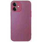 For iPhone 12 AG Frosted Sweatproof Shockproof Phone Case(Plum Purple) - 1