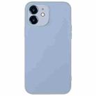 For iPhone 12 AG Frosted Sweatproof Shockproof Phone Case(Sierra Blue) - 1