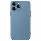 For iPhone 12 Pro AG Frosted Sweatproof Shockproof Phone Case(Navy Blue) - 1