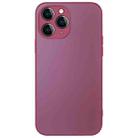 For iPhone 12 Pro AG Frosted Sweatproof Shockproof Phone Case(Plum Purple) - 1