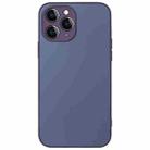 For iPhone 12 Pro Max AG Frosted Sweatproof Shockproof Phone Case(Purple) - 1