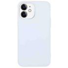 For iPhone 11 AG Frosted Sweatproof Shockproof Phone Case(White) - 1