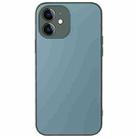 For iPhone 11 AG Frosted Sweatproof Shockproof Phone Case(Green) - 1