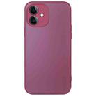 For iPhone 11 AG Frosted Sweatproof Shockproof Phone Case(Plum Purple) - 1