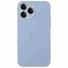 For iPhone 11 Pro AG Frosted Sweatproof Shockproof Phone Case(Sierra Blue) - 1