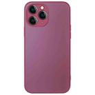 For iPhone 11 Pro Max AG Frosted Sweatproof Shockproof Phone Case(Plum Purple) - 1