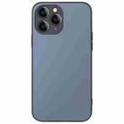 For iPhone 11 Pro Max AG Frosted Sweatproof Shockproof Phone Case(Grey) - 1