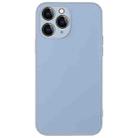 For iPhone 11 Pro Max AG Frosted Sweatproof Shockproof Phone Case(Sierra Blue) - 1