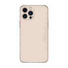 For iPhone 14 Pro Electroplating AG Frosted Phone Case(Gold) - 1