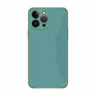 For iPhone 14 Pro Max Electroplating AG Frosted Phone Case(Green) - 1