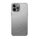 For iPhone 13 Pro Max Electroplating AG Frosted Phone Case(Silver Grey) - 1