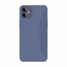 For iPhone 11 Electroplating AG Frosted Phone Case(Dark Purple) - 1