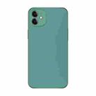 For iPhone 11 Electroplating AG Frosted Phone Case(Green) - 1