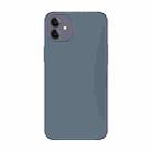 For iPhone 11 Electroplating AG Frosted Phone Case(Grey) - 1