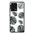 For Xiaomi Redmi Note 12 Pro 5G China Colorful Painted Glass Phone Case(Banana Leaves) - 1