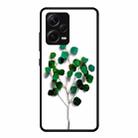 For Xiaomi Redmi Note 12 Pro+ China Colorful Painted Glass Phone Case(Sapling) - 1