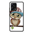 For Xiaomi Redmi Note 12 Pro+ China Colorful Painted Glass Phone Case(Owl) - 1