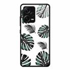 For Xiaomi Redmi Note 12 Pro+ China Colorful Painted Glass Phone Case(Banana Leaves) - 1