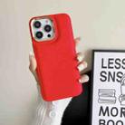 For iPhone 13 Pro Cushion Liquid Silicone Phone Case(Red) - 1