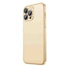 For iPhone 14 Pro Max Extremely Dazzling Frosted Electroplating Phone Case(Champagne Gold) - 1