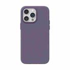 For iPhone 13 4D Invisible Frosted PC Phone Case(Purple) - 1