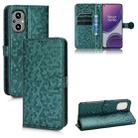 For OnePlus Nord N20 5G Honeycomb Dot Texture Leather Phone Case(Green) - 1