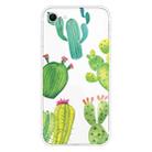 For iPhone SE 2022 / SE 2020 Shockproof Painted Transparent TPU Protective Case(Cactus) - 1