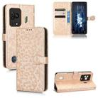 For Xiaomi Black Shark 5 Honeycomb Dot Texture Leather Phone Case(Gold) - 1