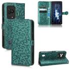 For Xiaomi Black Shark 5 Honeycomb Dot Texture Leather Phone Case(Green) - 1